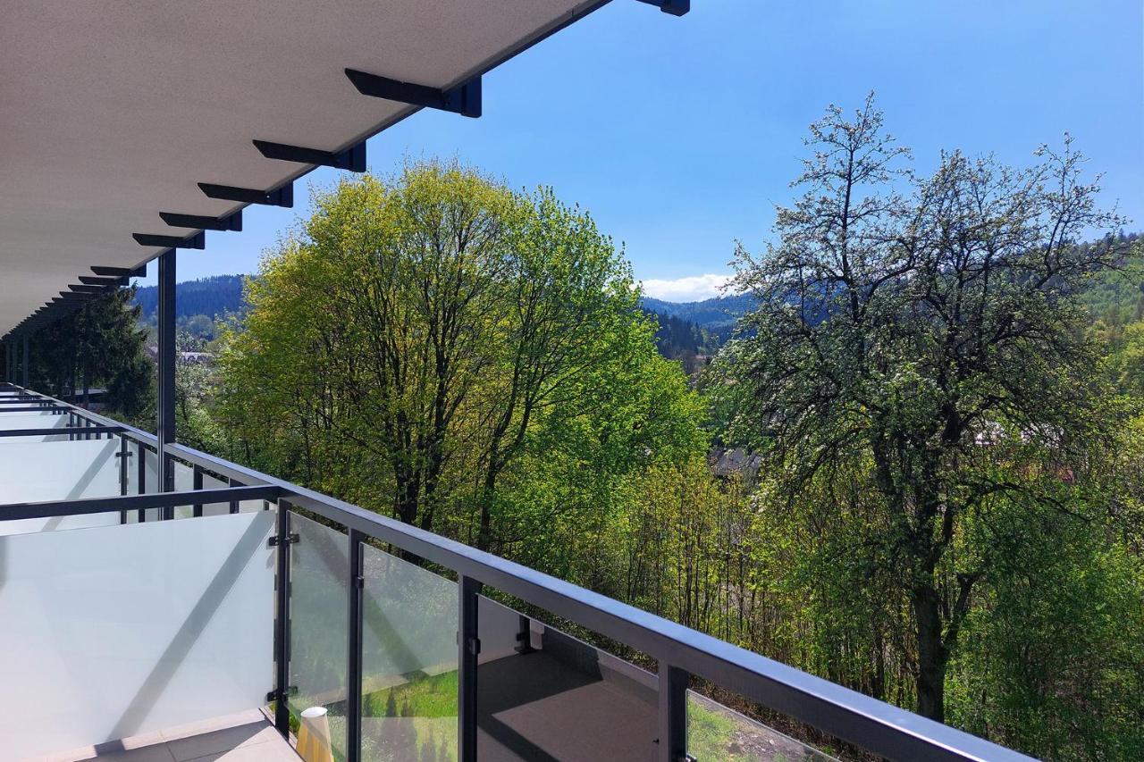 Hotel Jarzebata Wisła Εξωτερικό φωτογραφία