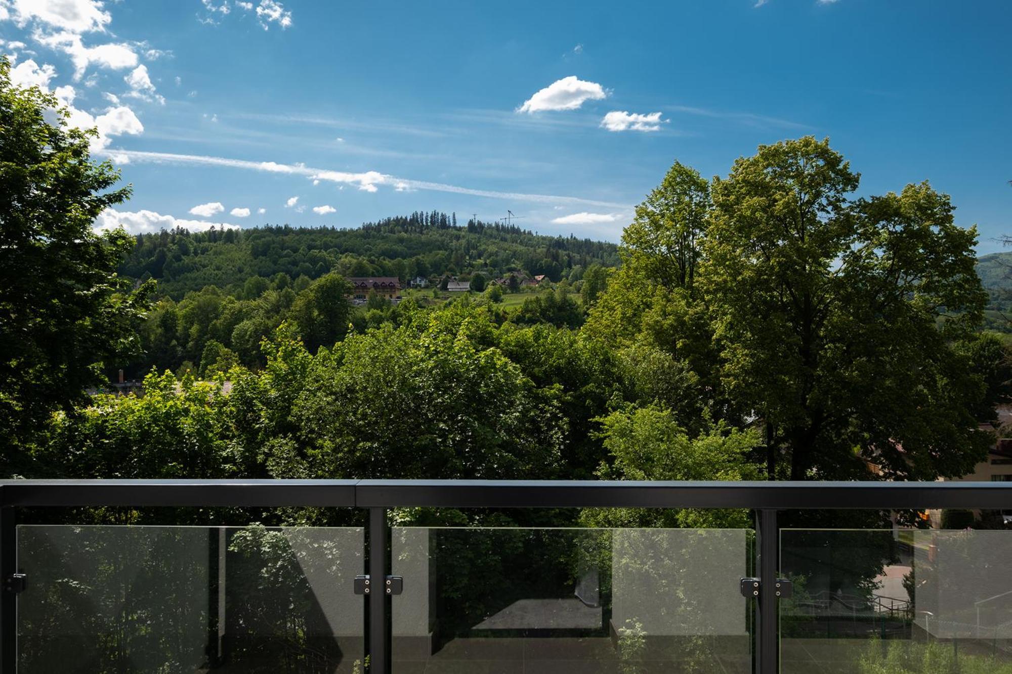 Hotel Jarzebata Wisła Εξωτερικό φωτογραφία
